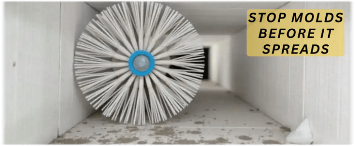Air Duct Mold Removal in Humble
