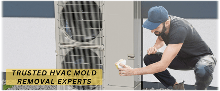 HVAC Mold Removal Humble